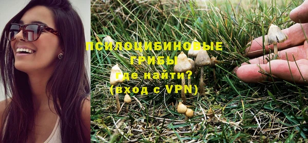 мяу мяу мука Алзамай