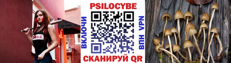 Галлюциногенные грибы Cubensis  Старая Купавна 